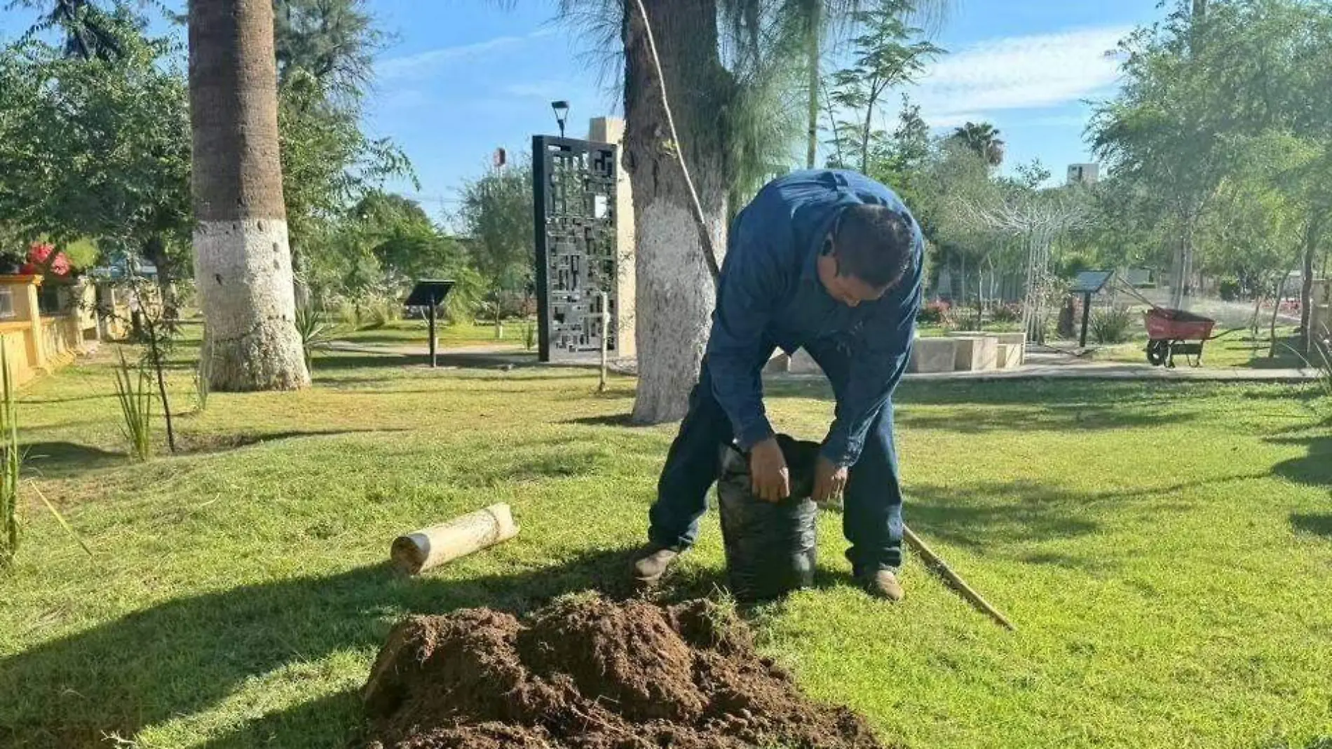 Con acciones de reforestación mejora el entorno urbano de Torreón